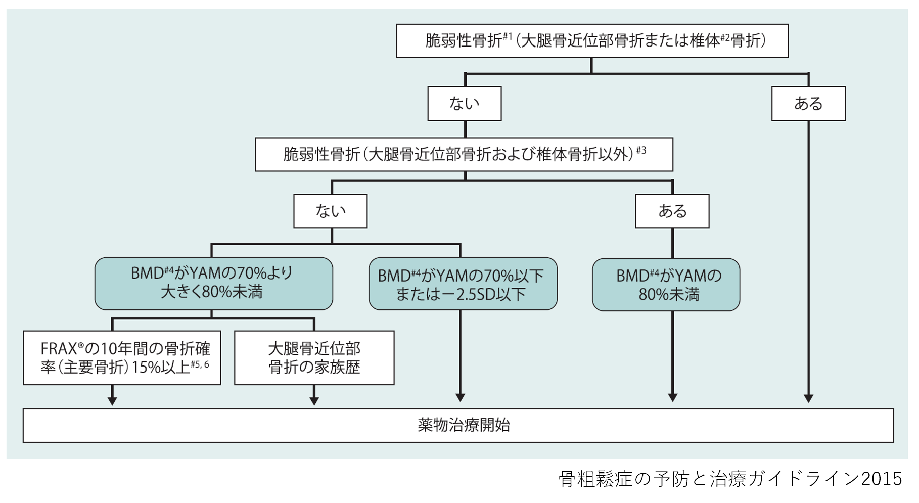 骨粗鬆症 内分泌代謝専門医が患者さんに向けてくわしく説明します たまき青空病院 徳島市国府町